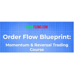 Mike Valtos Order Flow Blueprint Momentum & Reversal Trading Course